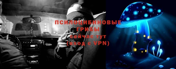 шишки Снежинск
