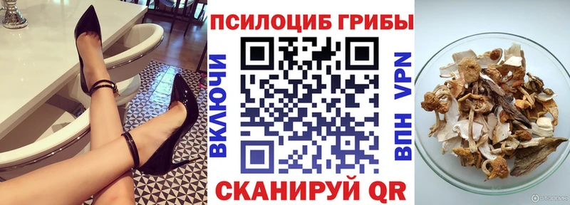 Галлюциногенные грибы MAGIC MUSHROOMS это Telegram Гаврилов-Ям